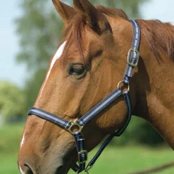 Online - Licol nylon doublé cuir marine/ ciel Licols Poneys|Licols En Nylon