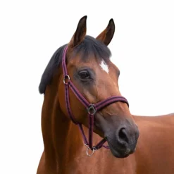 Online - Licol nylon doublé néoprène bordeaux/ noir Licols Poneys|Licols En Nylon