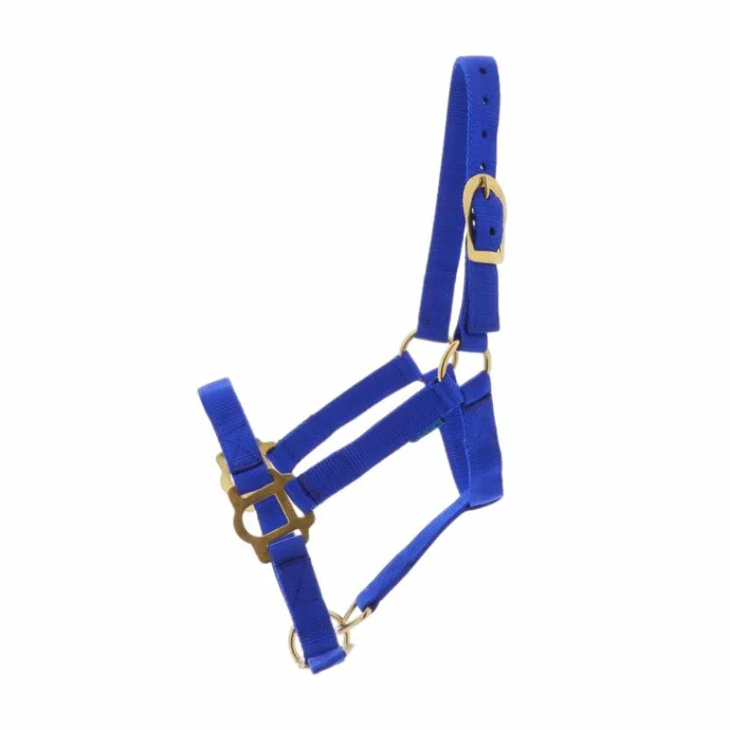 Outlet - Licol nylon double épaisseur avec fermetures bleu roi Licols Poneys|Licols En Nylon