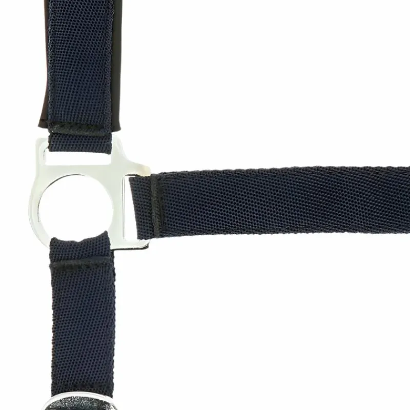 Best - Licol nylon doublé néoprène marine Licols Poneys|Licols En Nylon