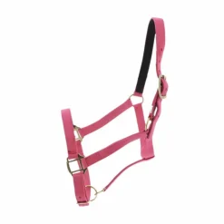 Licols Poneys|Licols En Nylon*Norton - Licol nylon doublé cuir fuchsia