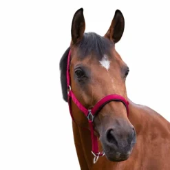 Outlet - Licol nylon doublé néoprène rouge Licols Poneys|Licols En Nylon