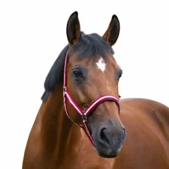 Clearance - Licol nylon doublé néoprène rouge/ ecru Licols Poneys|Licols En Nylon