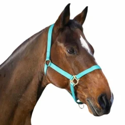 Sale - Licol nylon muserolle réglable turquoise Licols Poneys|Licols En Nylon