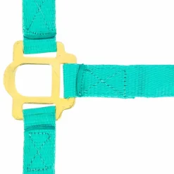 Sale - Licol nylon muserolle réglable turquoise Licols Poneys|Licols En Nylon