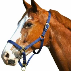 Licols Poneys|Licols En Nylon*Norton - Licol nylon muserolle réglable marine