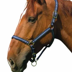 Online - Licol nylon / bleu ciel Licols Poneys|Licols En Nylon