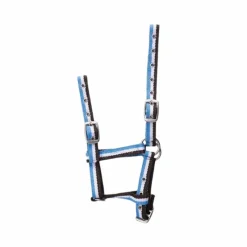 Élevage|Licols Foals*Norton - Licol pour poulains réglable choco/ blanc/ ciel Bleu