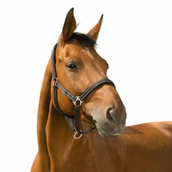 Sale - Licol Reflective Licols Poneys|Licols Polypropylène