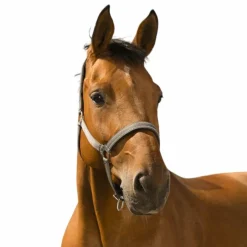 Licols Poneys|Licols Polypropylène*Norton - Licol Reflective Gris