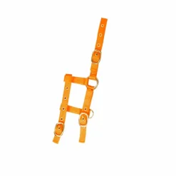 Best - Licol réglable mini orange Licols Poneys