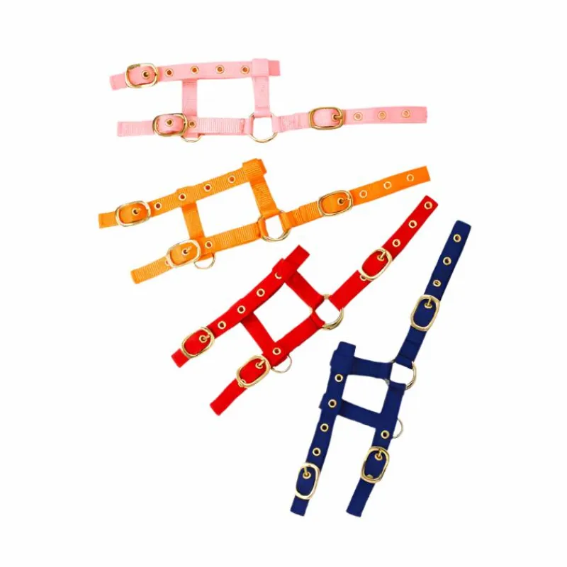 Best - Licol réglable mini orange Licols Poneys