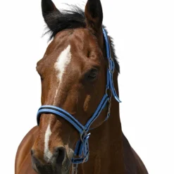 Online - Licol Satine ciel/ noir Licols Poneys