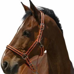 Licols Poneys*Norton - Licol Satine corail/ noir Orange