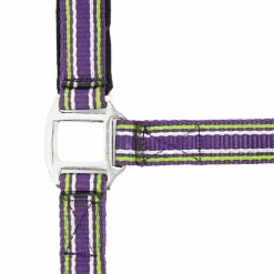 Sale - Licol strong prune/ vert/ blanc Licols Poneys|Licols Polypropylène