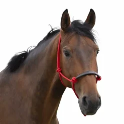 Outlet - Licol éthologique corde/ synthétique Licols Poneys|Licols Éthologiques