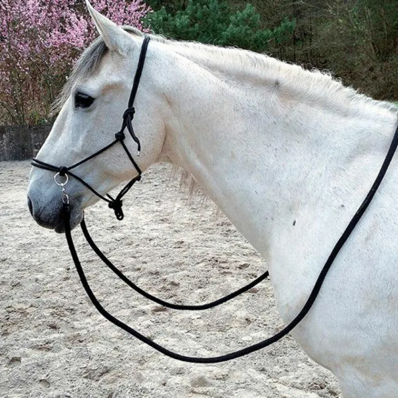 Éthologie|Licols Éthologiques*Norton - Licol éthologique avec rênes roi Bleu