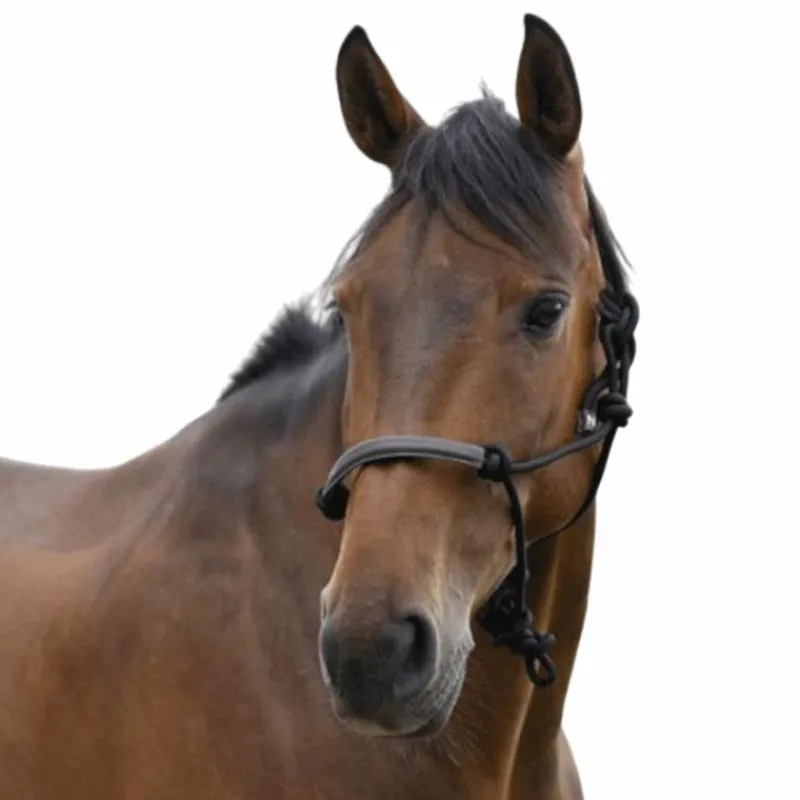 Hot - Licol éthologique corde/ synthétique Licols Poneys|Licols Éthologiques