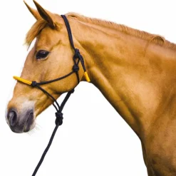 Éthologie|Licols Poneys*Norton - Licol éthologique et longe Fun colour /orange Noir