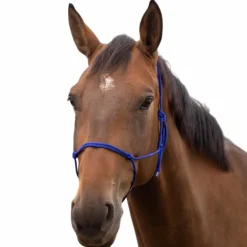 Licols Éthologiques*Norton - Licol éthologique doux bleu roi