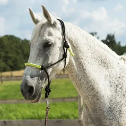 Éthologie|Licols Poneys*Norton - Licol éthologique et longe Fun colour /vert Noir