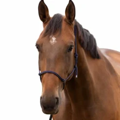 Clearance - Licol éthologique doux poney marine Licols Poneys|Licols Éthologiques