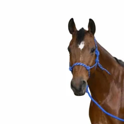 Best - Licol éthologique longe "eco" Licols Éthologiques