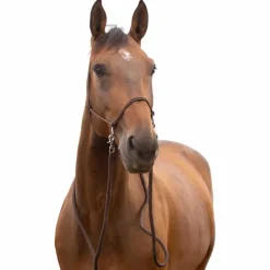 Hot - Licol éthologique avec rênes brun Éthologie|Licols Éthologiques