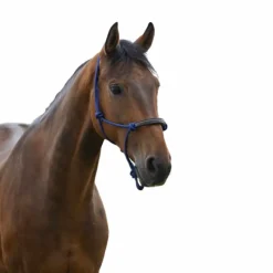 Licols Poneys|Licols Éthologiques*Norton - Licol éthologique corde/ synthétique Bleu