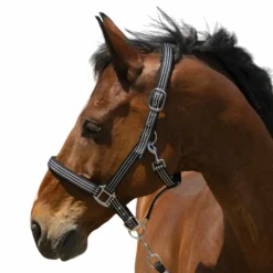 Discount - Licol Zari Licols Poneys