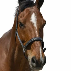 Discount - Licol Zari Licols Poneys