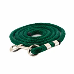 Longes Classiques*Norton - Longe d'attache bright Vert