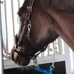 Sale - Longe de transport vif Longes Classiques