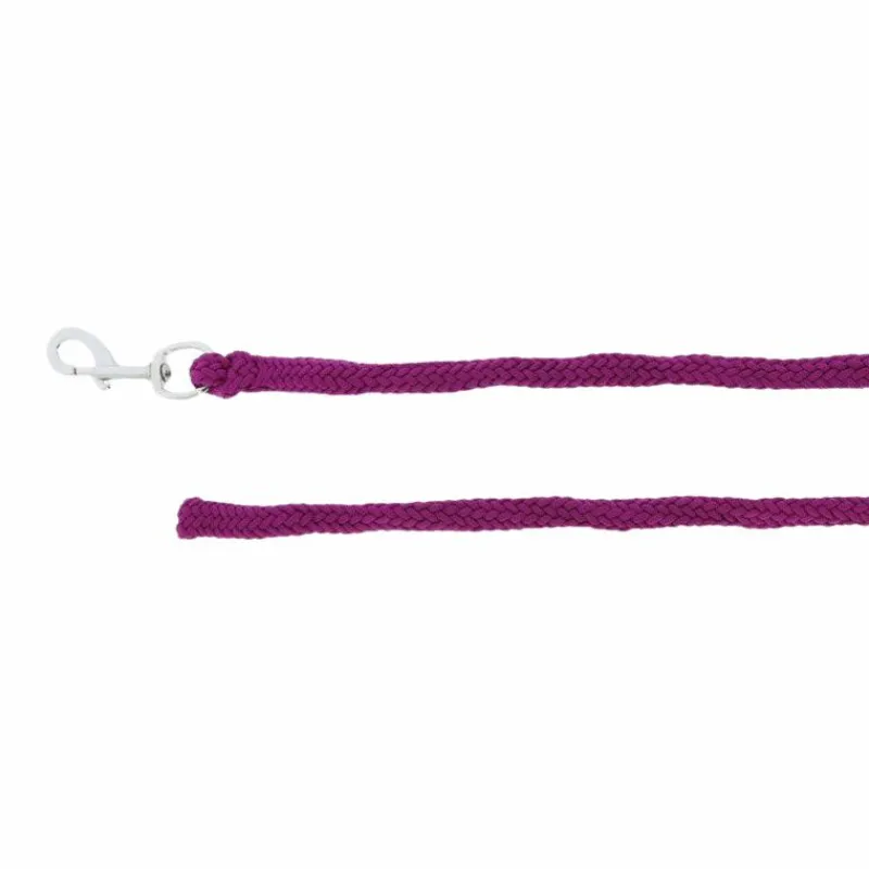 Longes Classiques*Norton - Longe lilas Violet