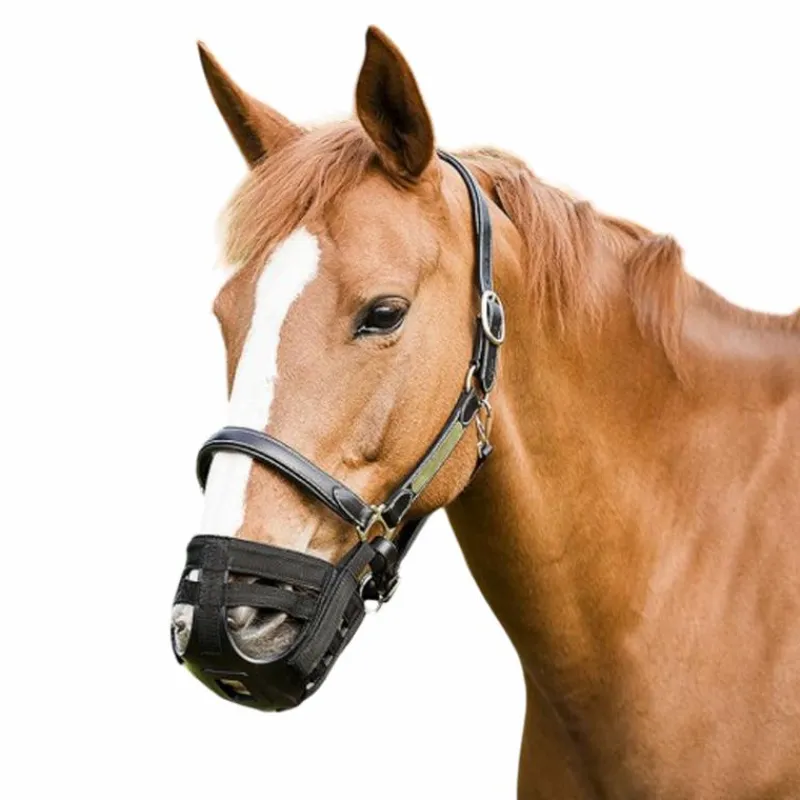 New - Panier muselière Paniers