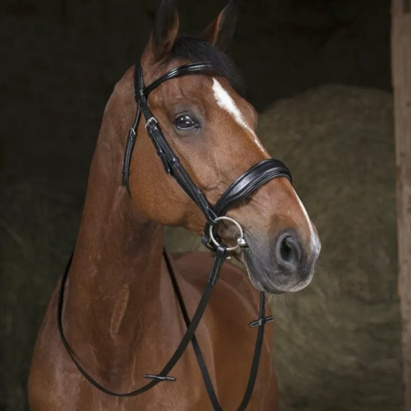 Online - Rênes de filet 16mm poney Rênes Et Arrêtoirs De Rênes Poneys|Rênes Et Arrêtoirs De Rênes