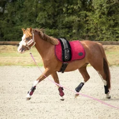 Clearance - Tapis de surfaix Surfaix