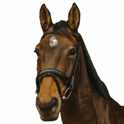 Discount - Bridon Dark Bridons