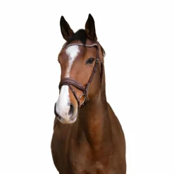 Cso|Bridons Poneys*Norton Pro - Bridon Miss Havane