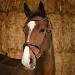 Cso|Bridons*Norton Pro - Bridon Perle Havane