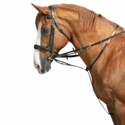 Enrênements Poneys|Howlett/ Thiedeman*Norton Pro - Enrênement Thiedeman Noir