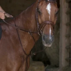 Best - Martingale à anneaux havane Concours Complet D'Equitation|Enrênements Poneys