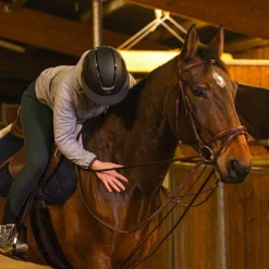 Enrênements Poneys|Rênes Allemandes*Norton Pro - Rênes allemandes sangle havane Marron