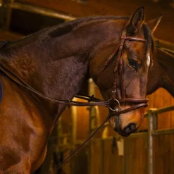 Enrênements Poneys|Rênes Allemandes*Norton Pro - Rênes allemandes sangle havane Marron