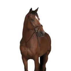 Rênes Et Arrêtoirs De Rênes Poneys|Rênes Et Arrêtoirs De Rênes*Norton Pro - Rênes en caoutchouc havane