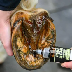 Huiles Pour Sabots*Onguent du Maréchal - Protection de la fourchette du maréchal Elfo Soins