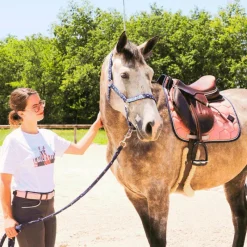 Online - Tapis de selle Intemporels vieux Tapis De Selle|Tapis Cso/ Mixtes