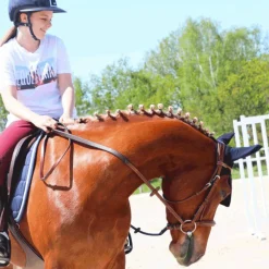 New - Bonnet à strass marine Bonnets Pour Chevaux|Cso