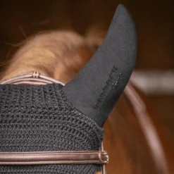 Bonnets Pour Chevaux*Paddock Sports - Bonnet coton anti-bruit Noir