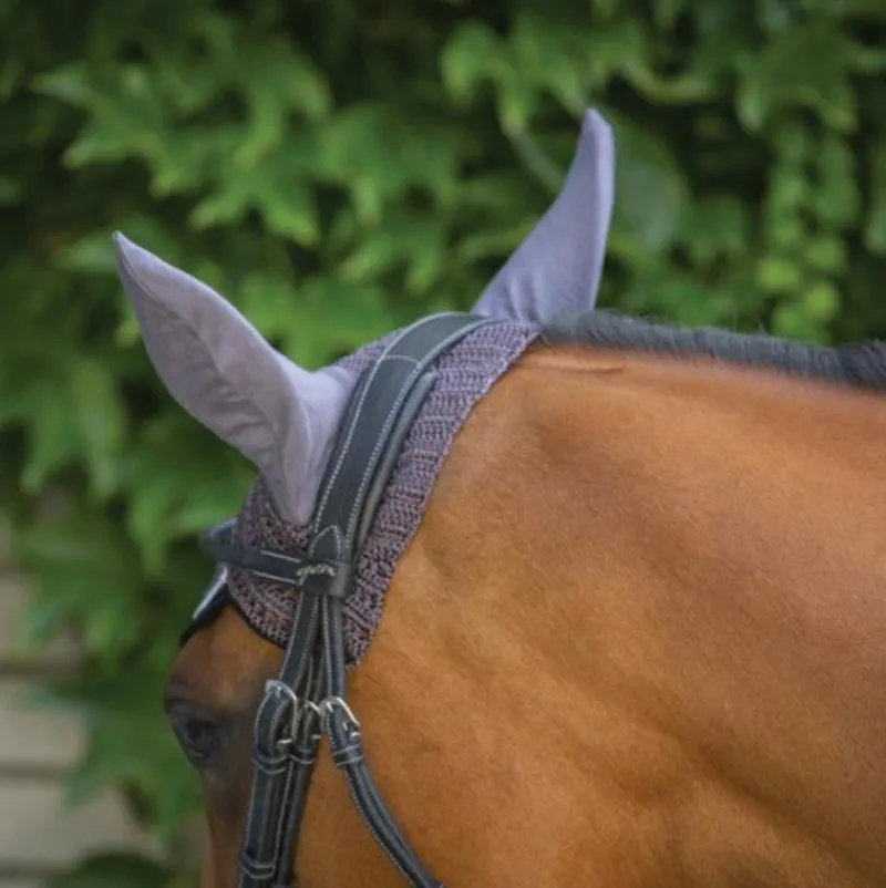 Best - Bonnet Origine foncé Cso|Bonnets Pour Chevaux